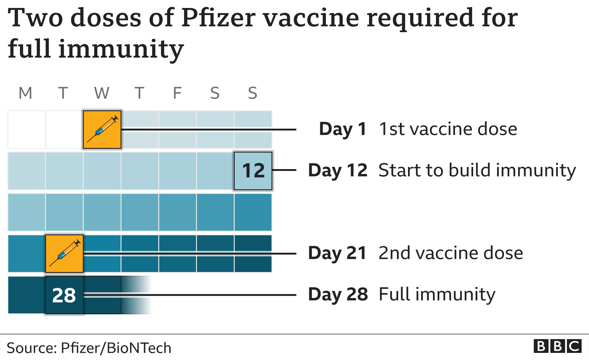 [Pfizer aikataulu]